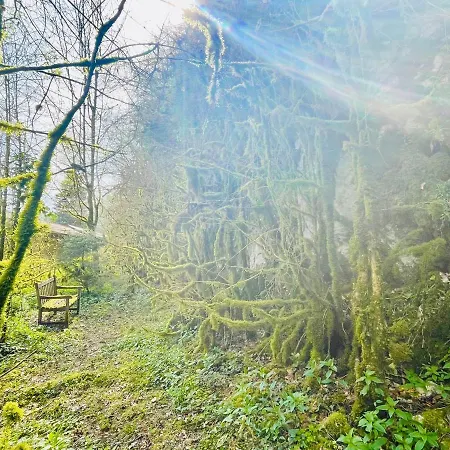 Alojamento de Acomodação e Pequeno-almoço Les Contes Fougax-et-Barrineuf