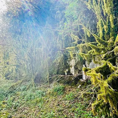 Les Contes Alojamento de Acomodação e Pequeno-almoço