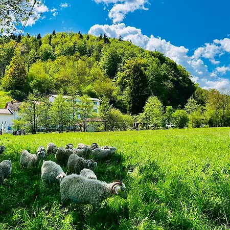 Les Contes Fougax-et-Barrineuf