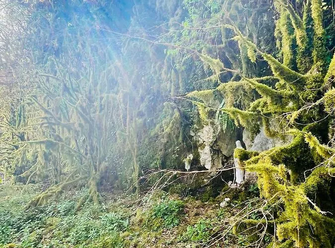 Les Contes Bed & Breakfast